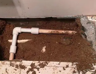 云安测漏水哪家好