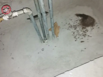 云安卫生间测漏水价格明细