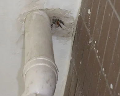 云安漏水检测哪家好